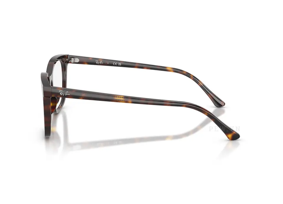 Ray-Ban RX5446F-2012(53)