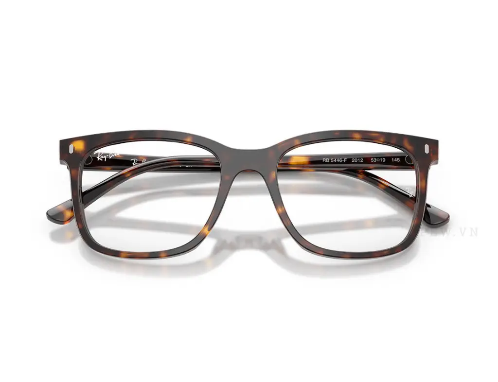 Ray-Ban RX5446F-2012(53)