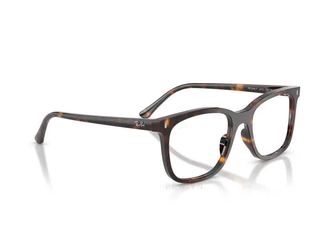 Ray-Ban RX5446F-2012(53)