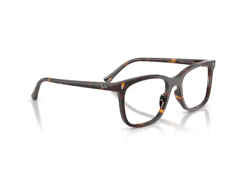 Ray-Ban RX5446F-2012(53)