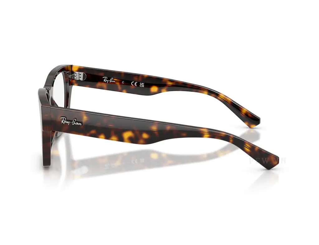 Ray-Ban RX5448-2012(55)