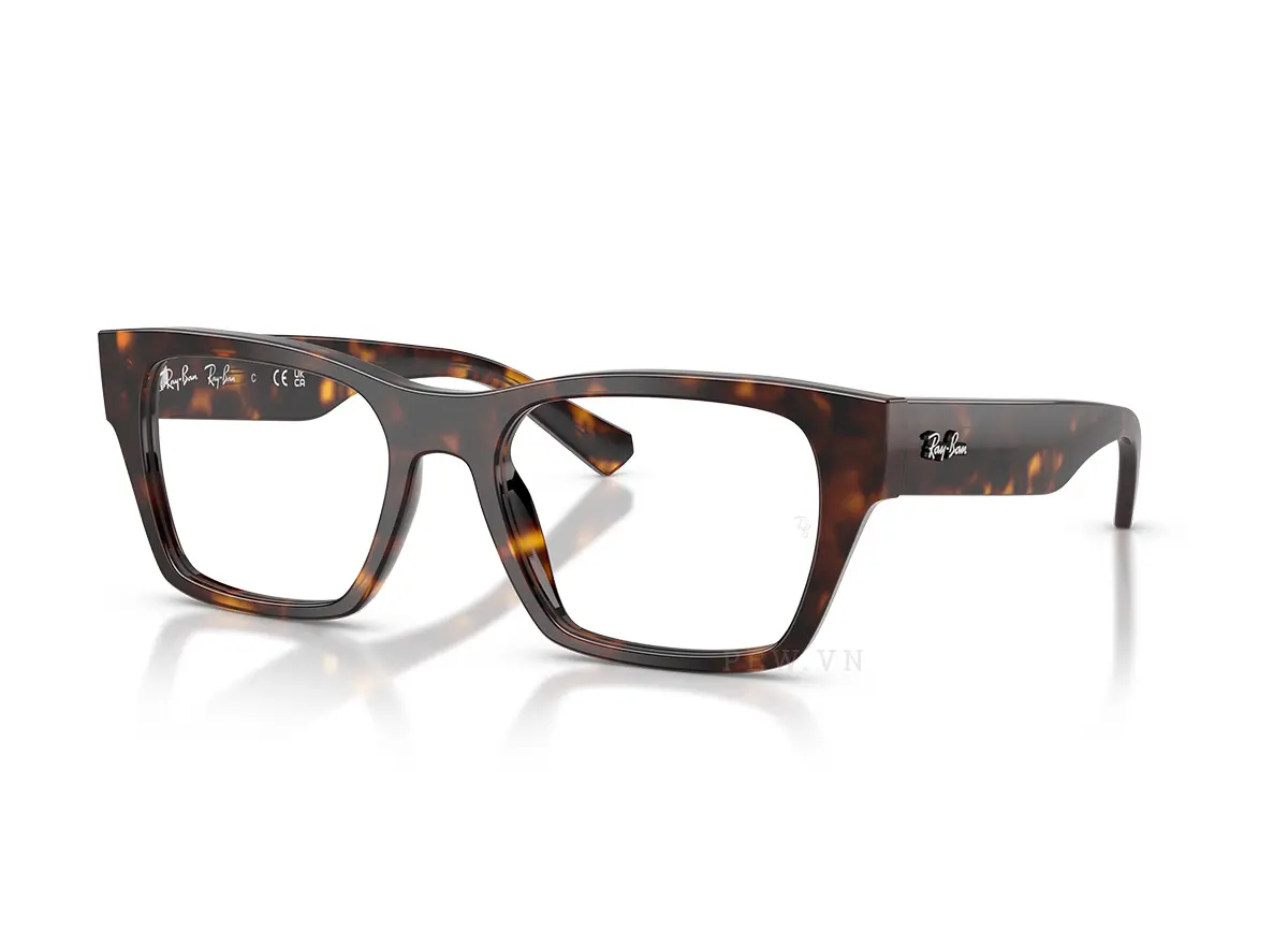 Ray-Ban RX5448-2012(55)