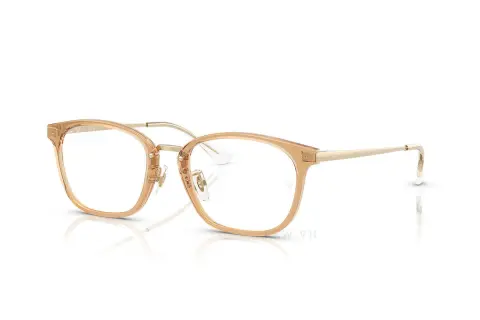 Ray-Ban RX7247D-8473(51)