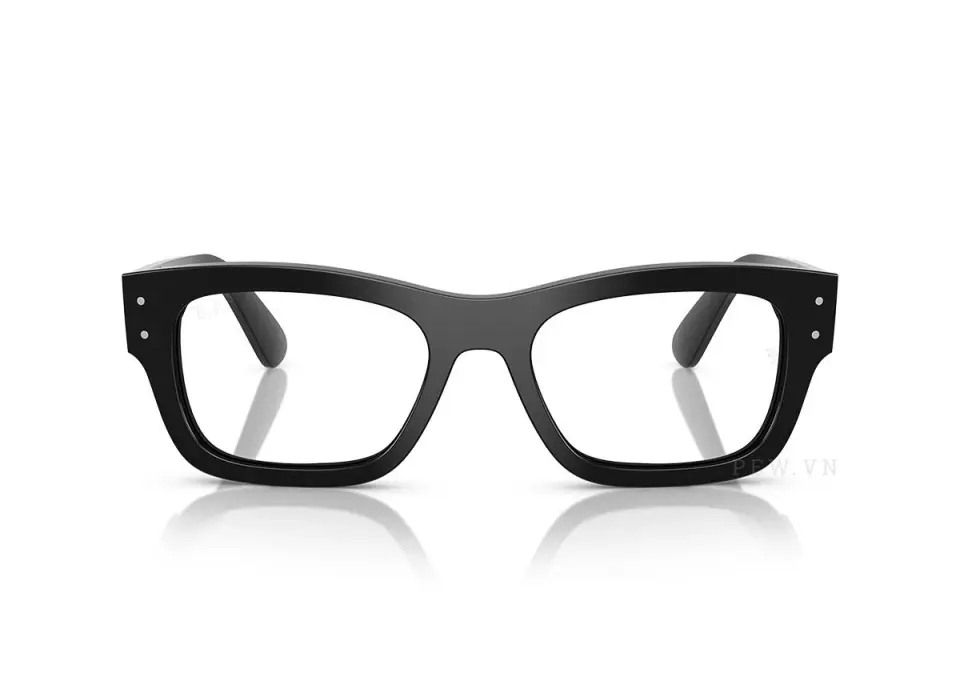 Ray-Ban RX7683V-2000(55)