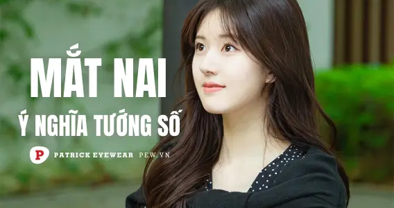 Mắt nai có ý nghĩa gì? Đặc điểm, tướng số mắt nai