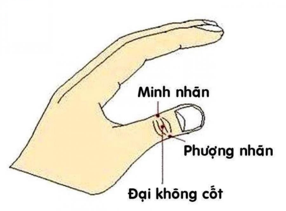 bấm huyệt chữa cận thị là gì bấm huyệt chữa cận thị