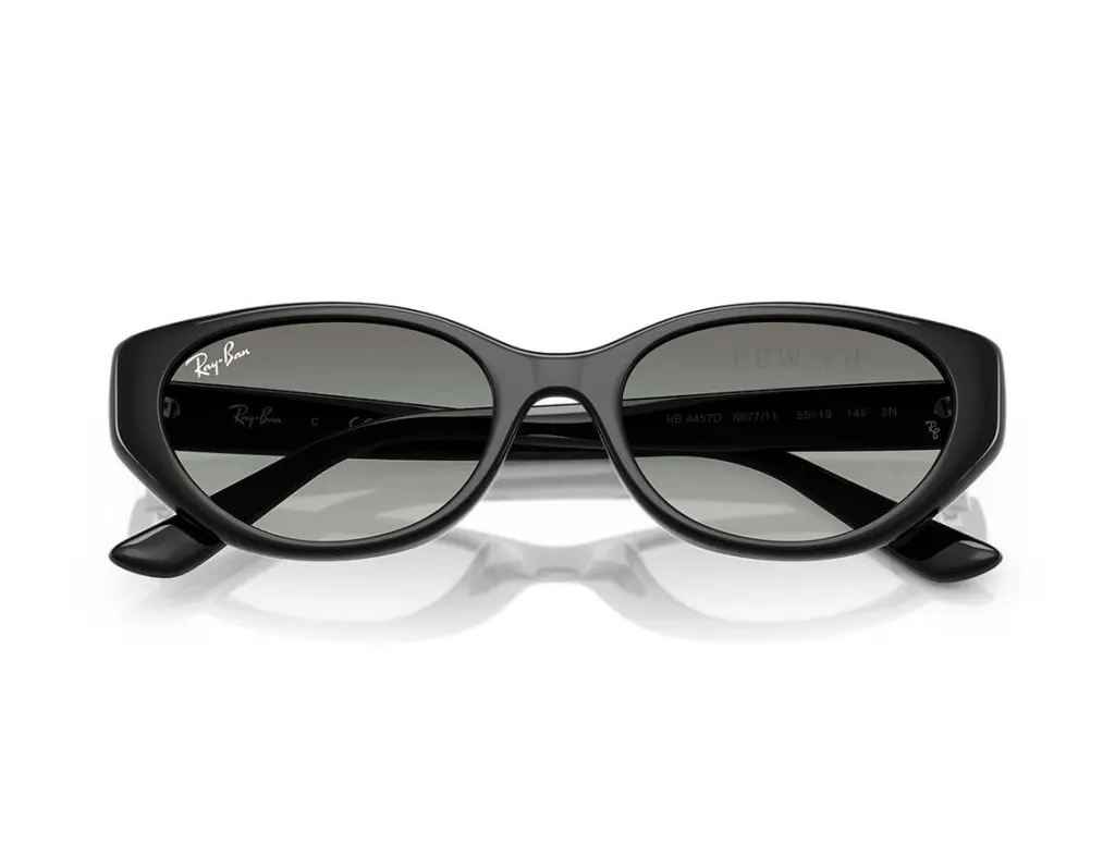 Ray-Ban RB4457D-6677/11(55)