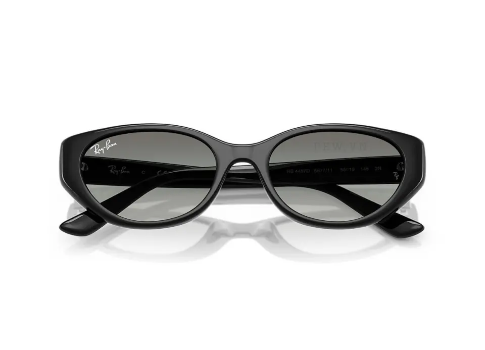 Ray-Ban RB4457D-6677/11(55)