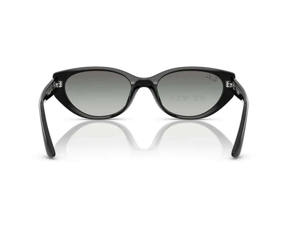 Ray-Ban RB4457D-6677/11(55)