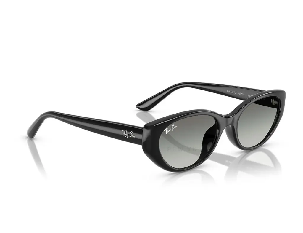 Ray-Ban RB4457D-6677/11(55)