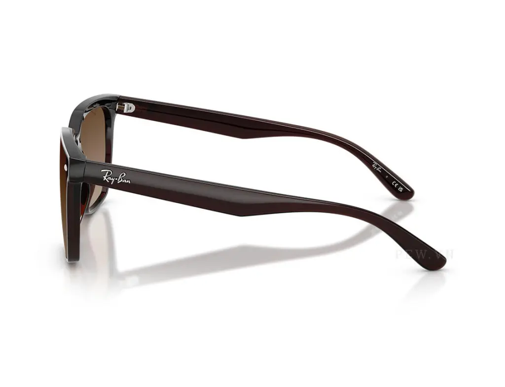 Ray-Ban RB4466D-714/13(47)