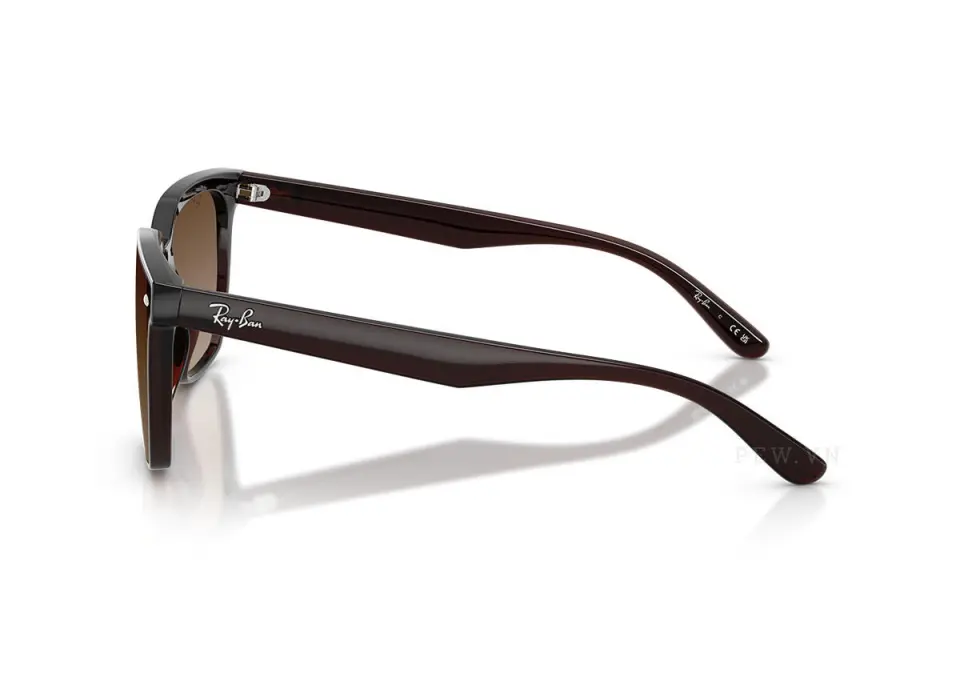 Ray-Ban RB4466D-714/13(47)