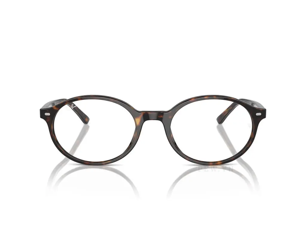 Ray-Ban German RX5429-2012(51)