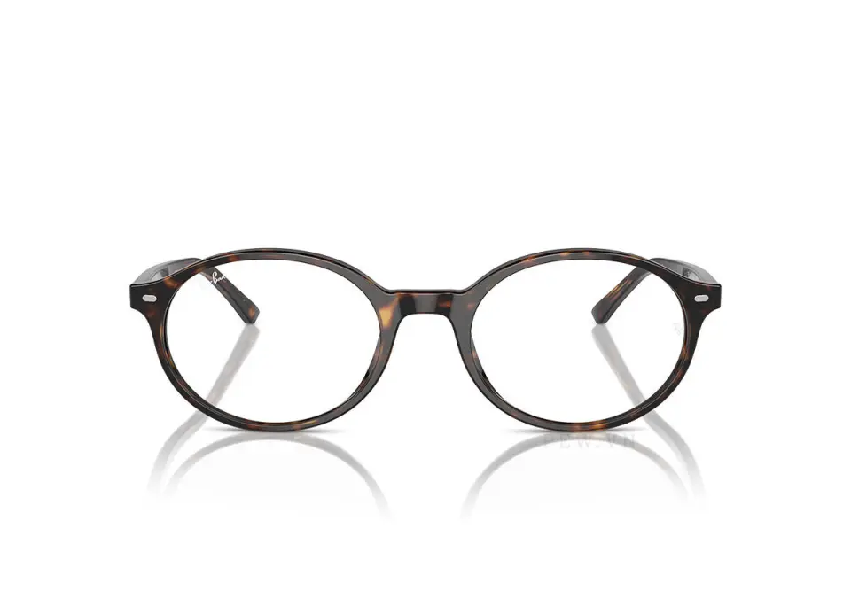 Ray-Ban German RX5429-2012(51)