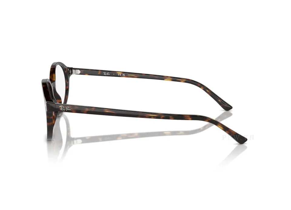 Ray-Ban German RX5429-2012(51)