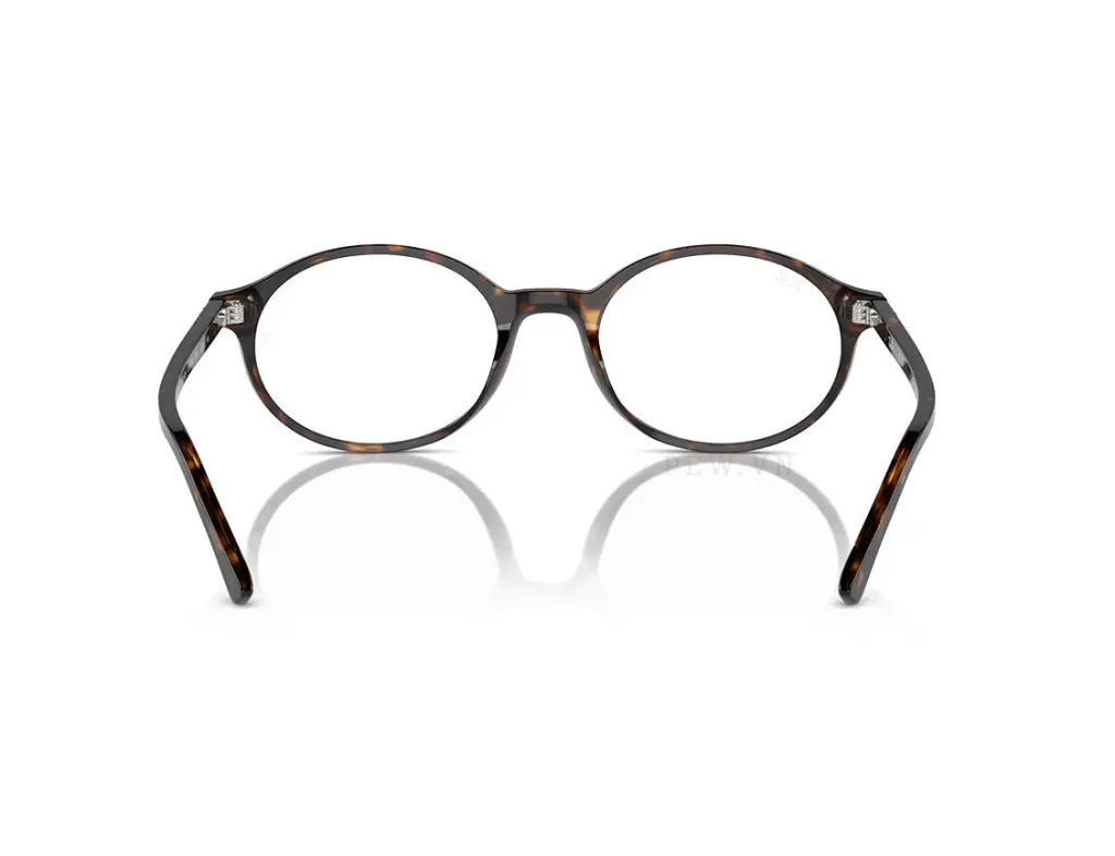 Ray-Ban German RX5429-2012(51)