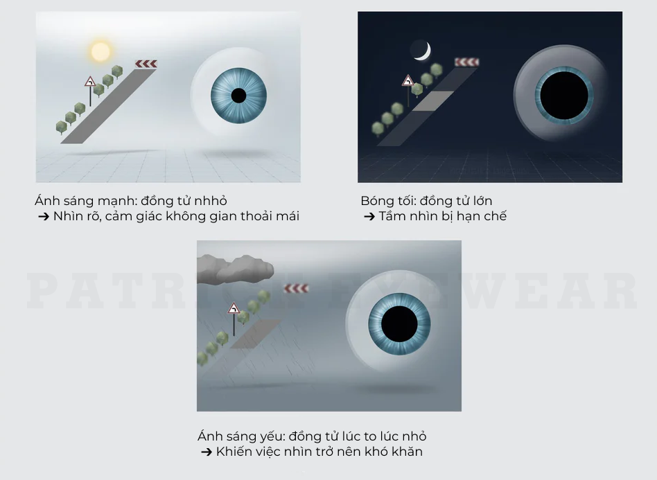 đa tròng zeiss smartlife