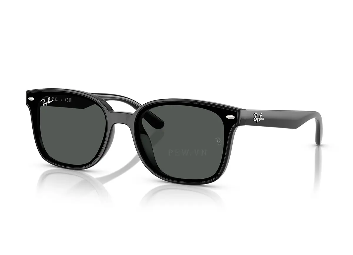 Ray-Ban RB4461D-601/87(64)