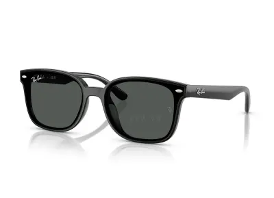 Ray-Ban RB4461D-601/87(64)