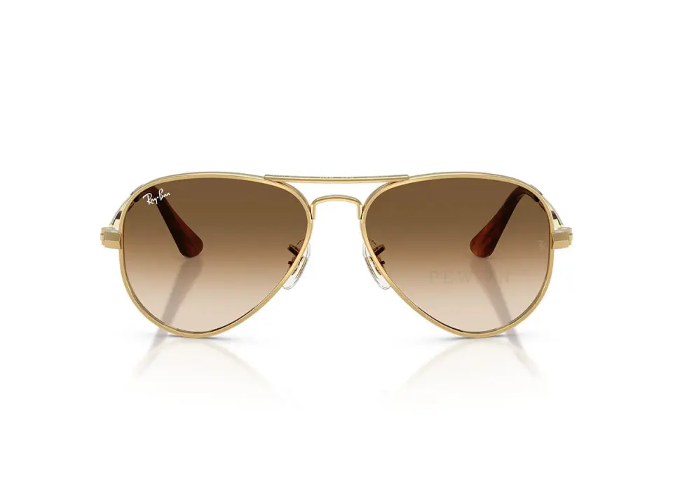 Ray-Ban Aviator Max RB3925-001/51 (62)