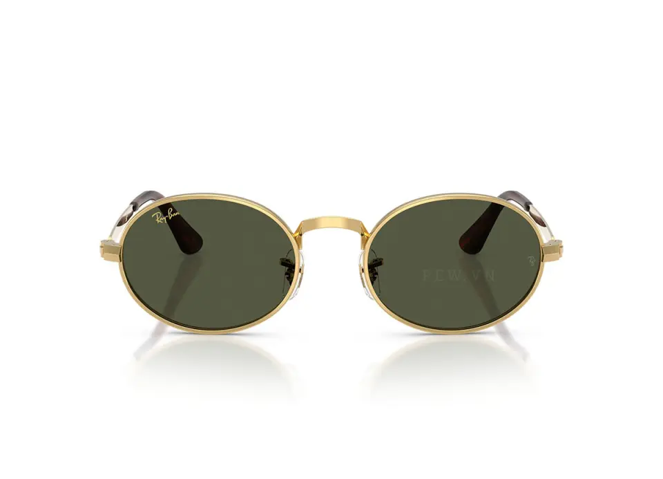 RayBan RB3931-001/31(54)