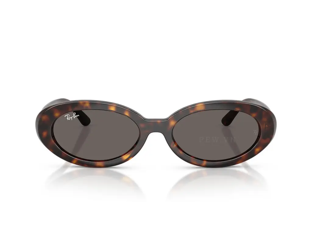 Ray-Ban RB2223F-902/B1(54)