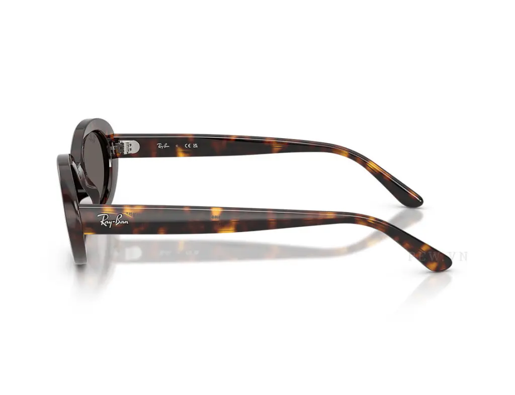 Ray-Ban RB2223F-902/B1(54)