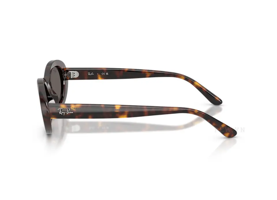 Ray-Ban RB2223F-902/B1(54)