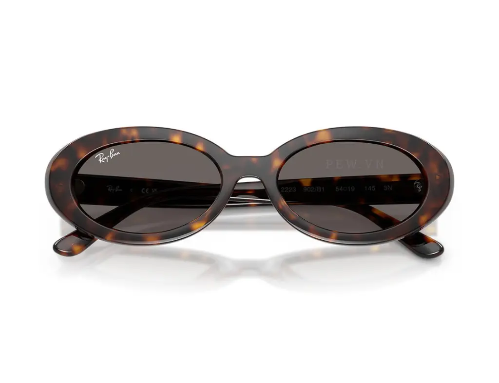 Ray-Ban RB2223F-902/B1(54)