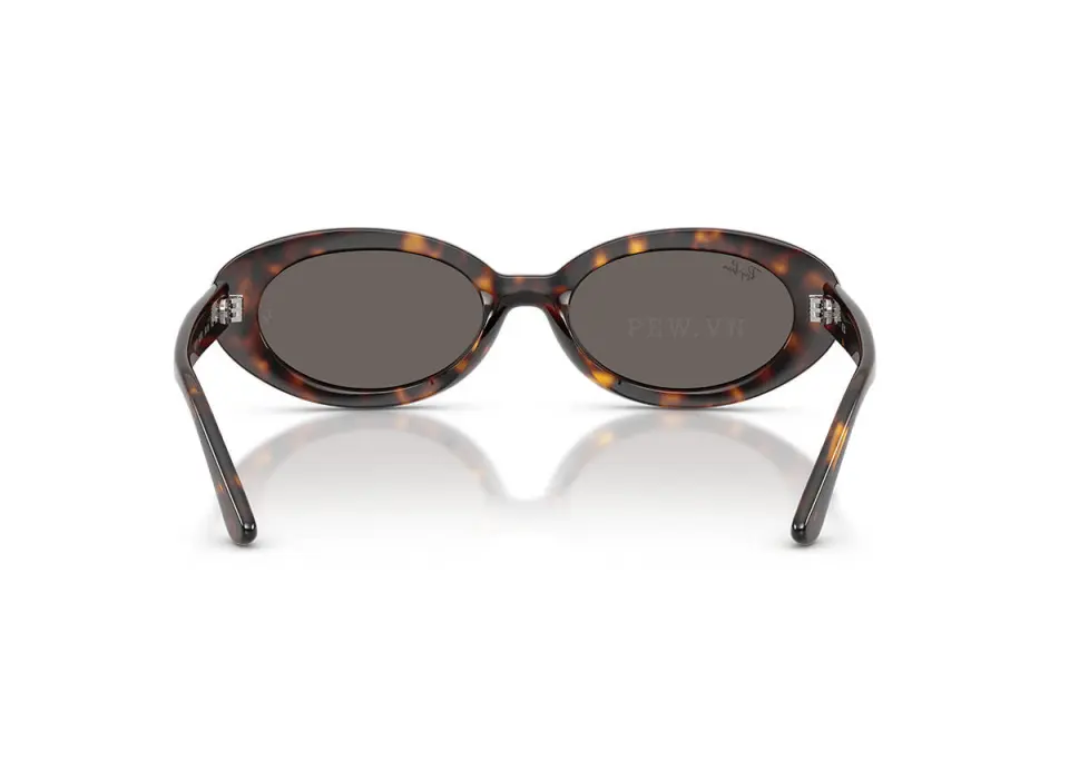 Ray-Ban RB2223F-902/B1(54)