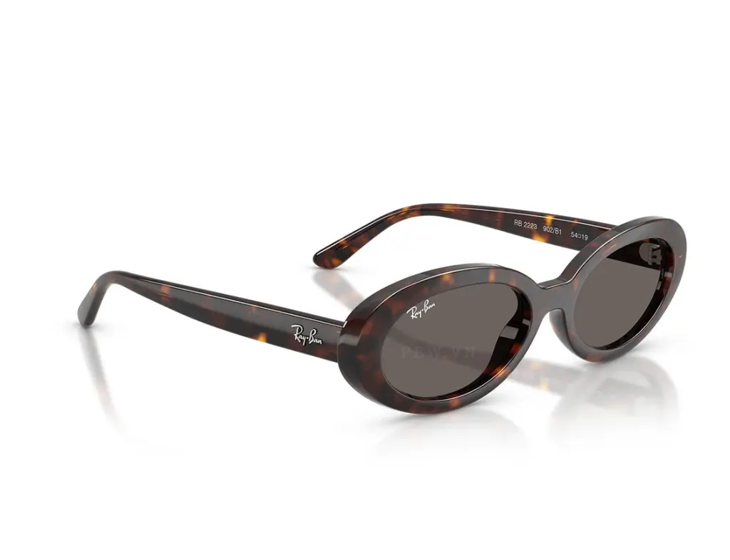 Ray-Ban RB2223F-902/B1(54)