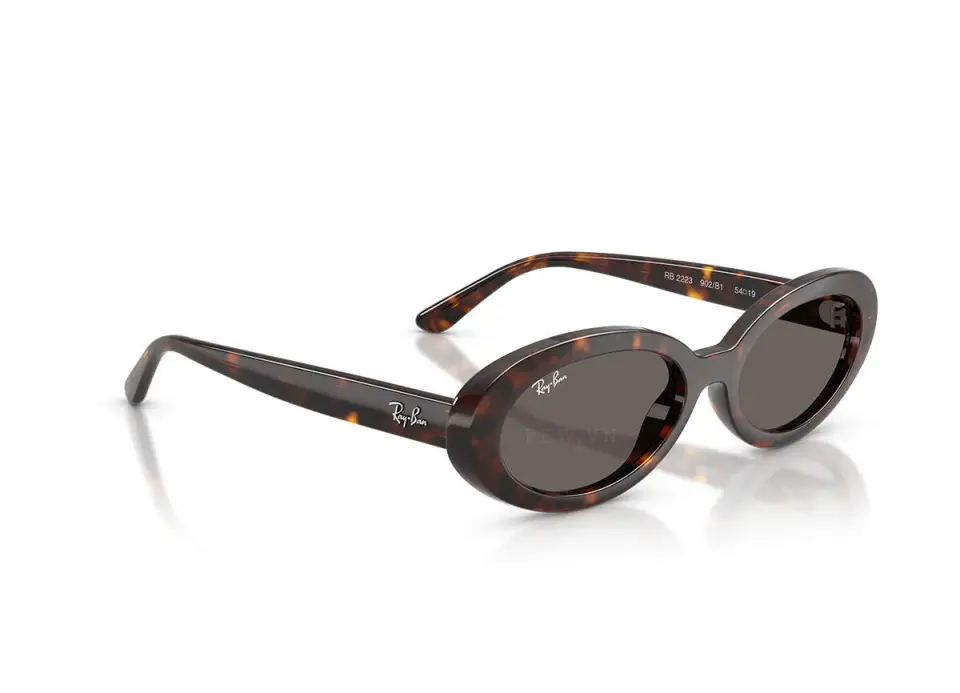 Ray-Ban RB2223F-902/B1(54)