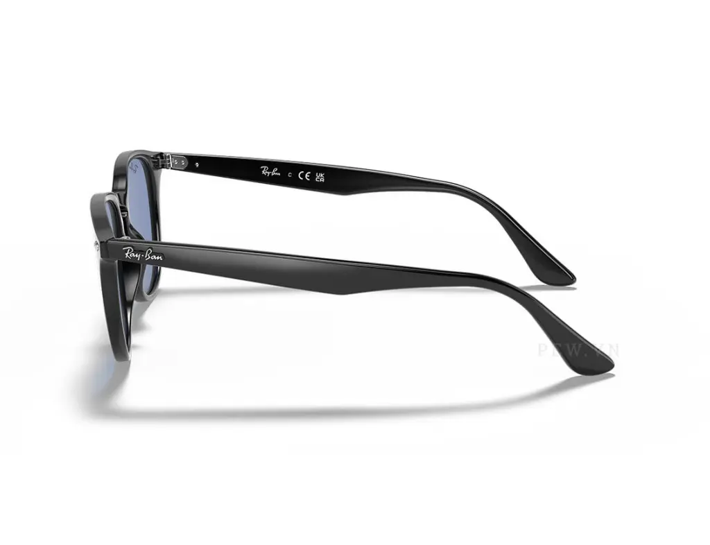 Ray-Ban RB4259F-601/80(53)