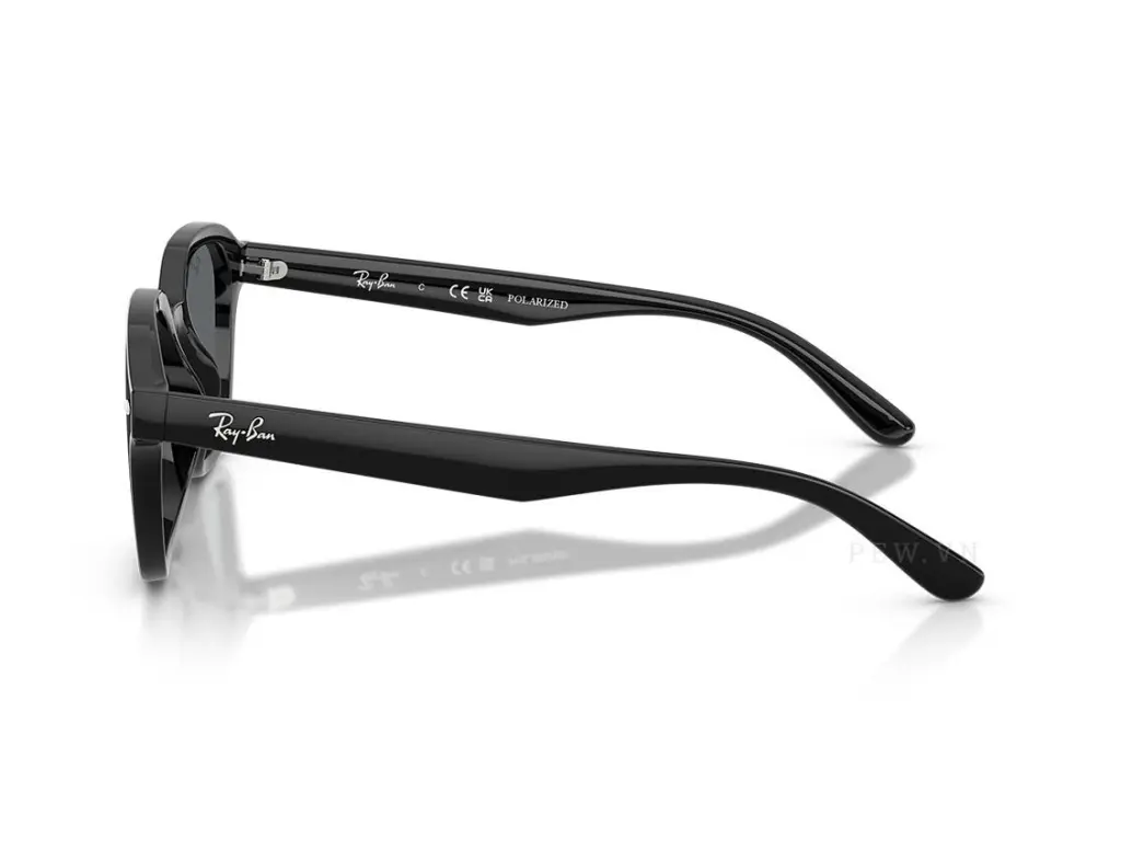 Ray-Ban RB4458D-601/81(65)