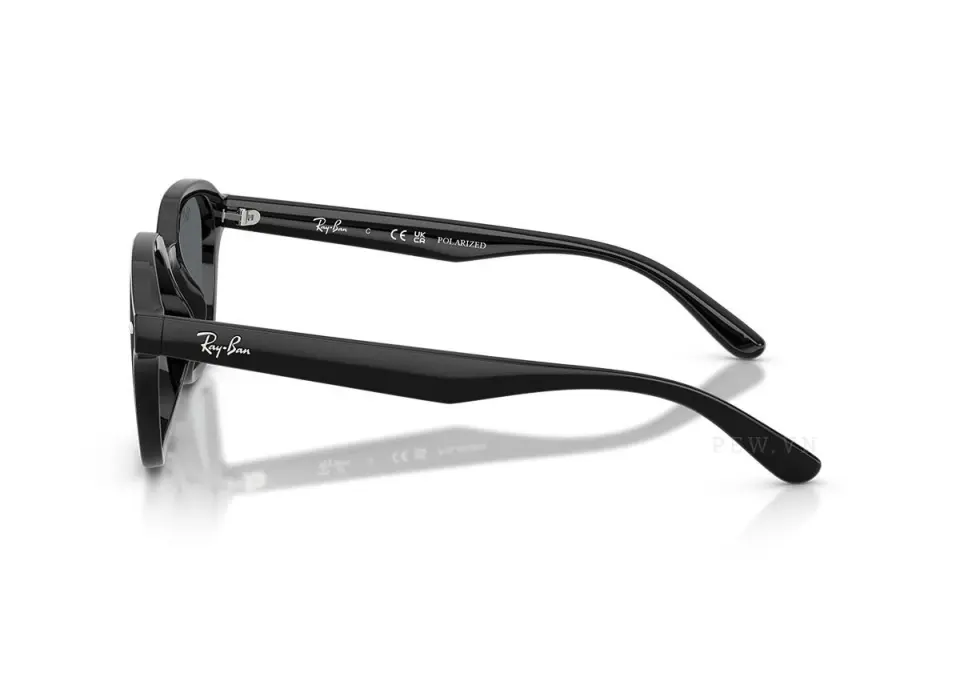 Ray-Ban RB4458D-601/81(65)