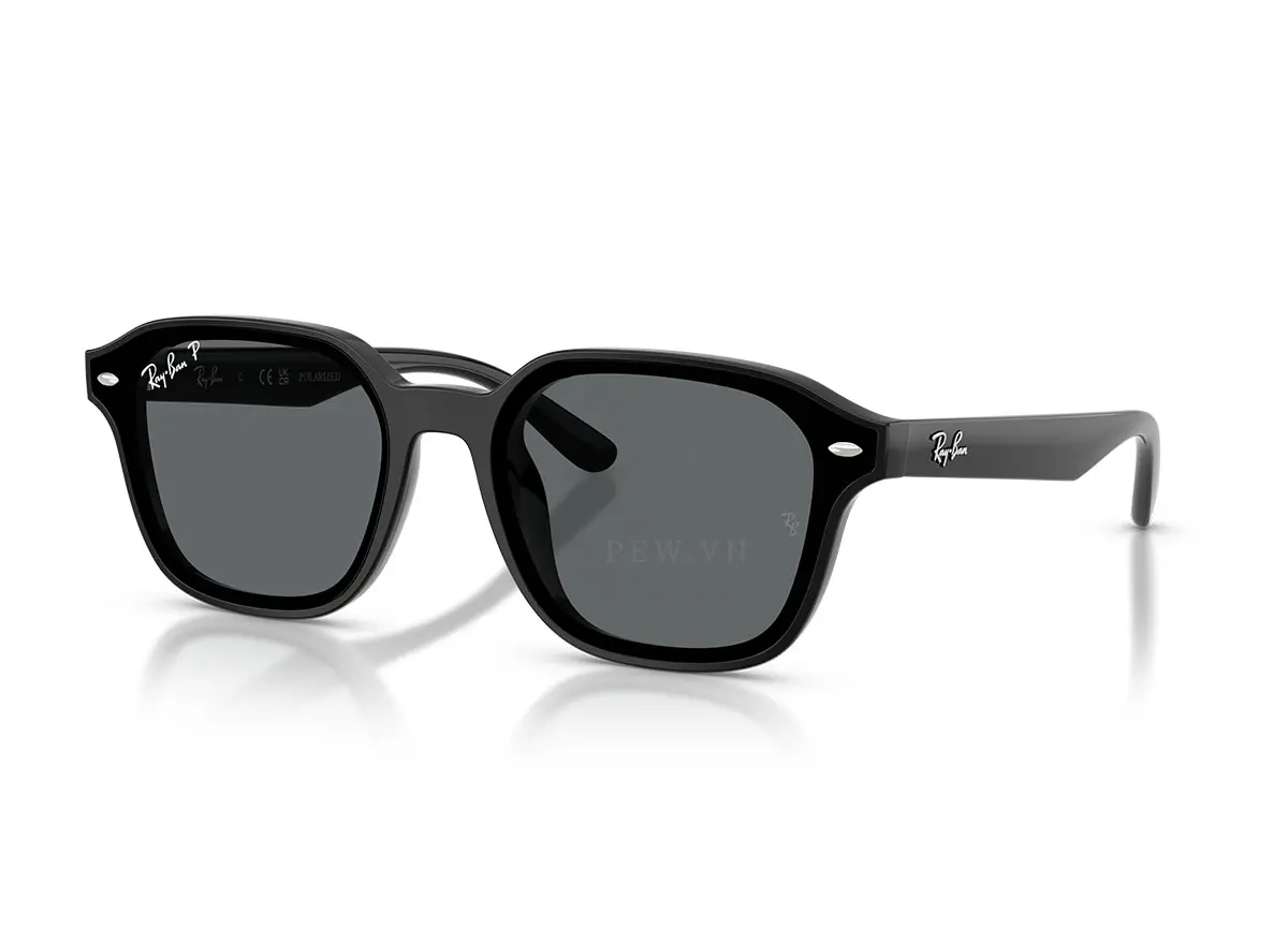 Ray-Ban RB4458D-601/81(65)