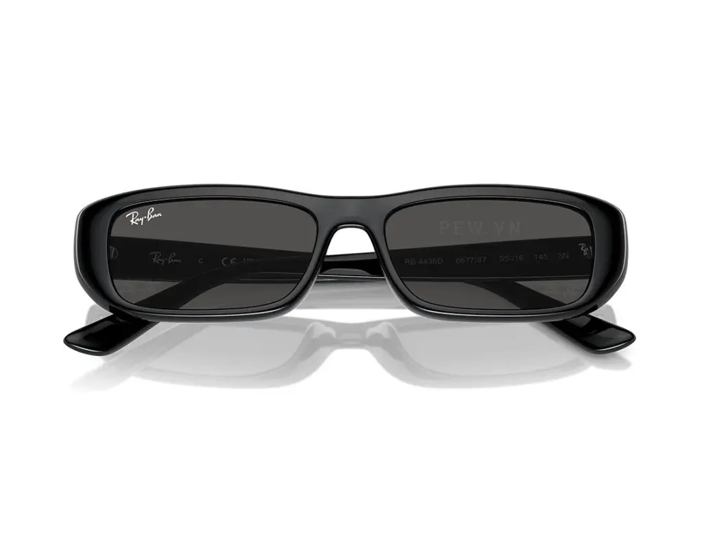 Ray-Ban RB4436D-667787(55)