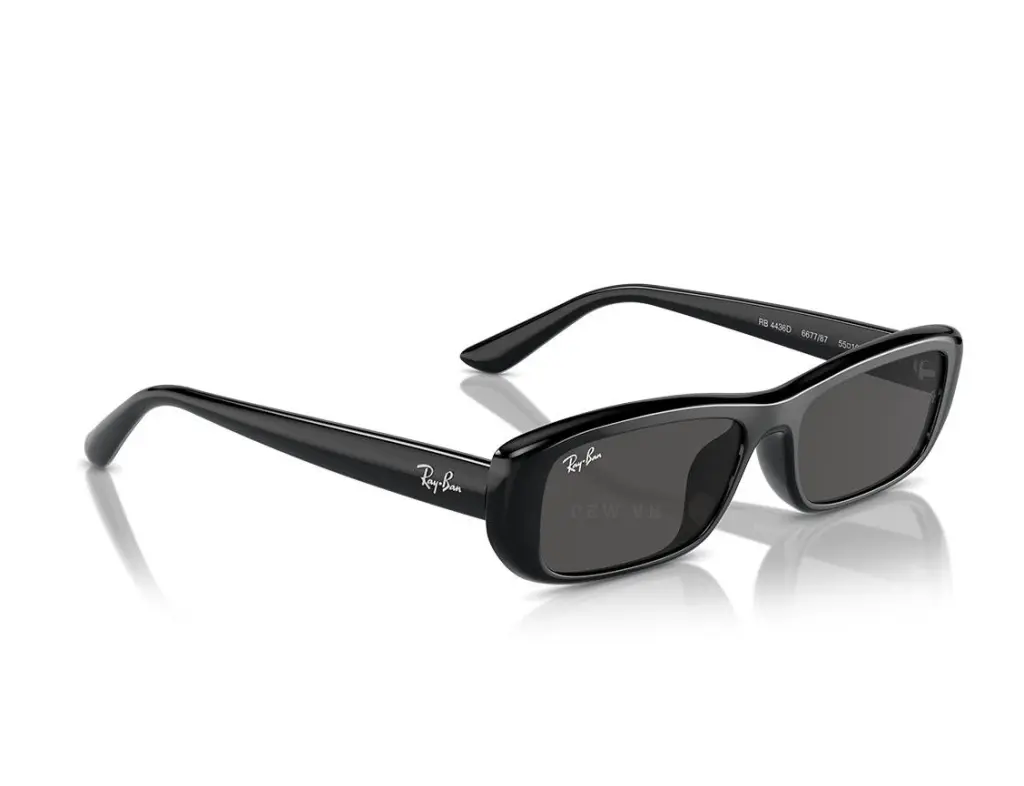 Ray-Ban RB4436D-667787(55)