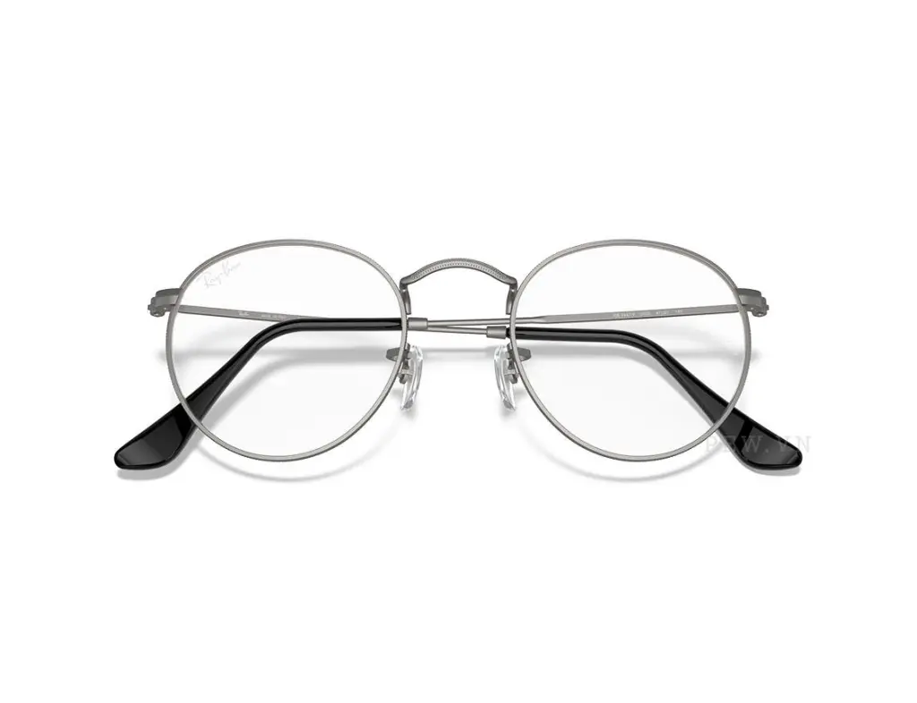 Ray-Ban Round RX3447V-2620(53)