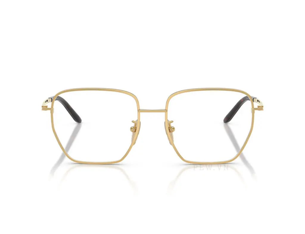Prada PRC51VD-ZVN1O1(54)