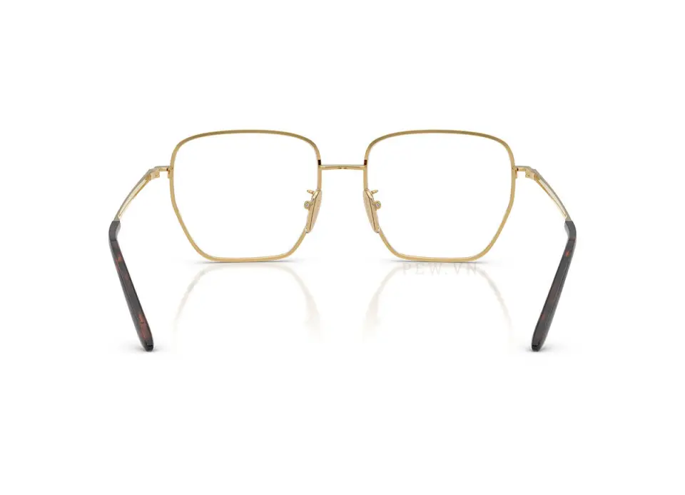 Prada PRC51VD-ZVN1O1(54)