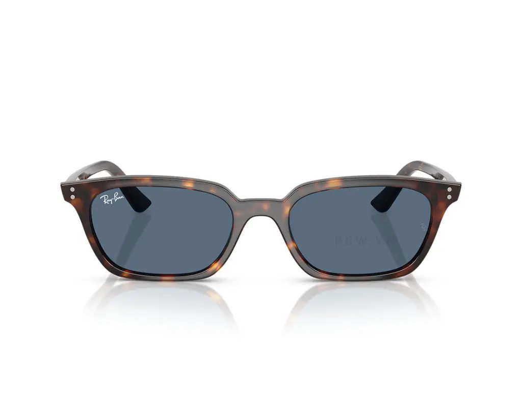 Ray-Ban Zaya RB4456-1359/80(53)