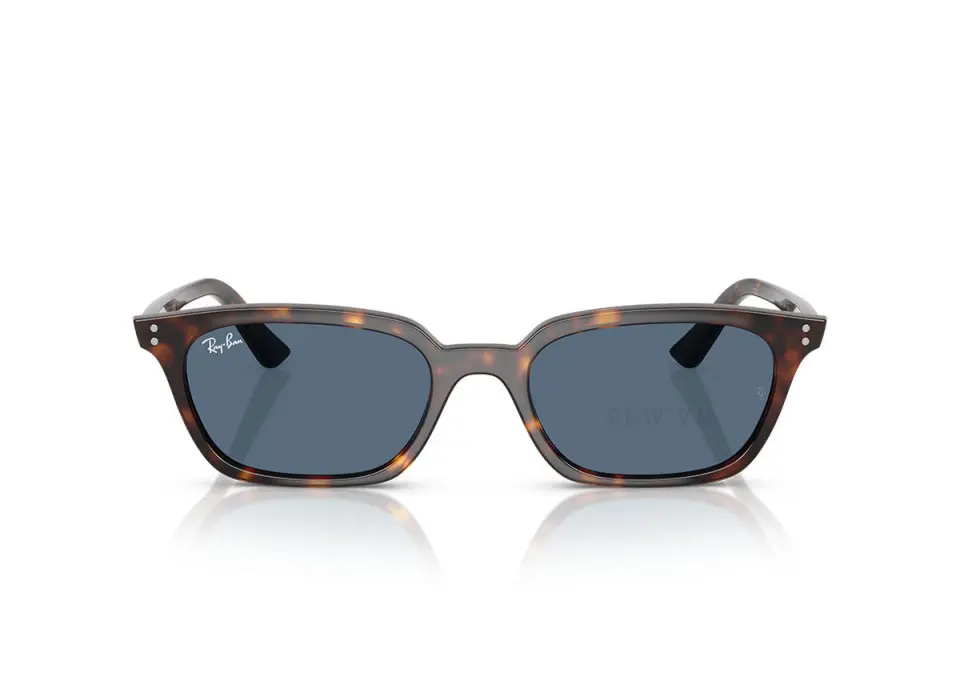 Ray-Ban Zaya RB4456-1359/80(53)