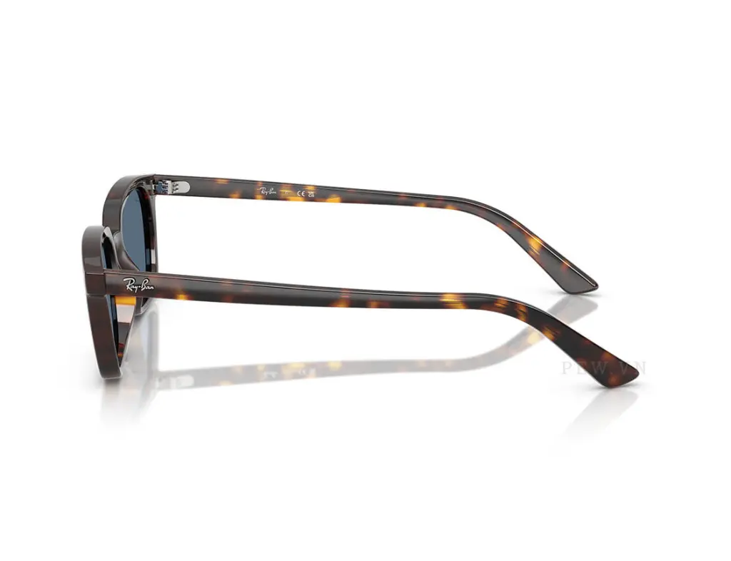 Ray-Ban Zaya RB4456-1359/80(53)