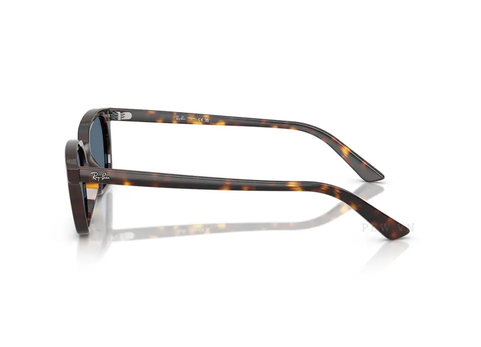 Ray-Ban Zaya RB4456-1359/80(53)