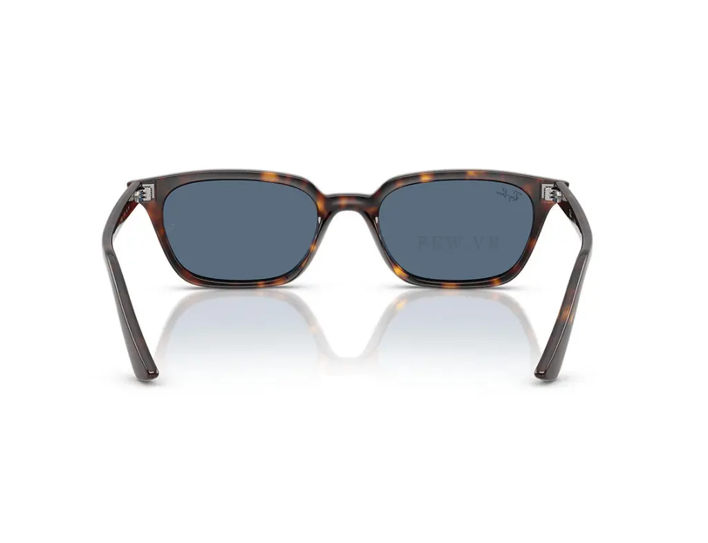 Ray-Ban Zaya RB4456-1359/80(53)