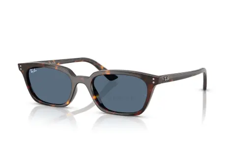Ray-Ban Zaya RB4456-1359/80(53)