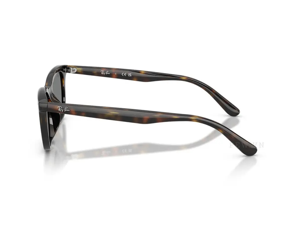 Ray-Ban RB4474D-710/87(54)