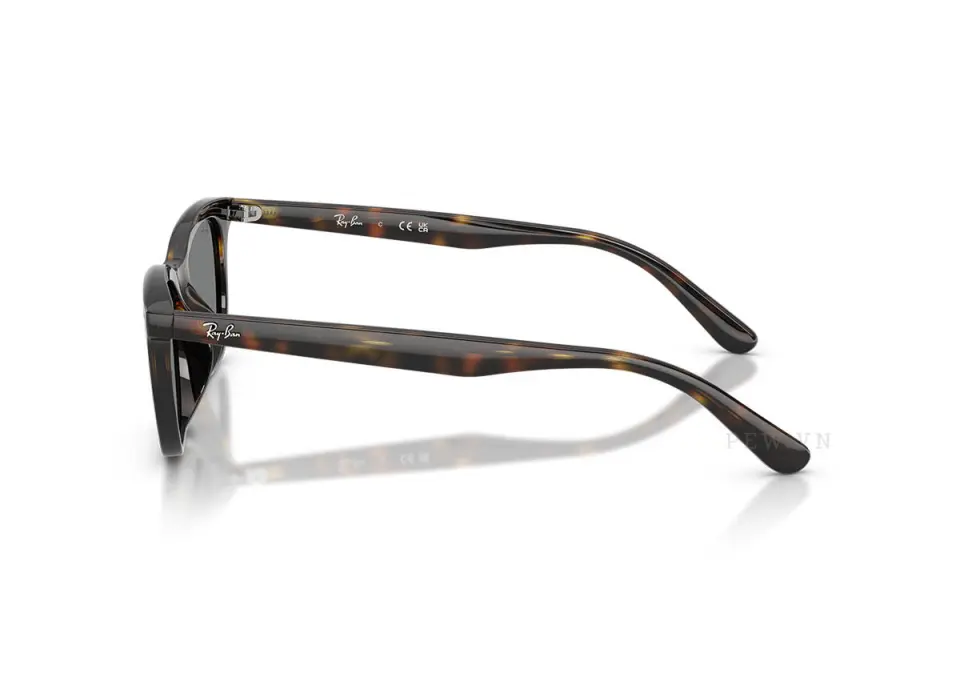 Ray-Ban RB4474D-710/87(54)