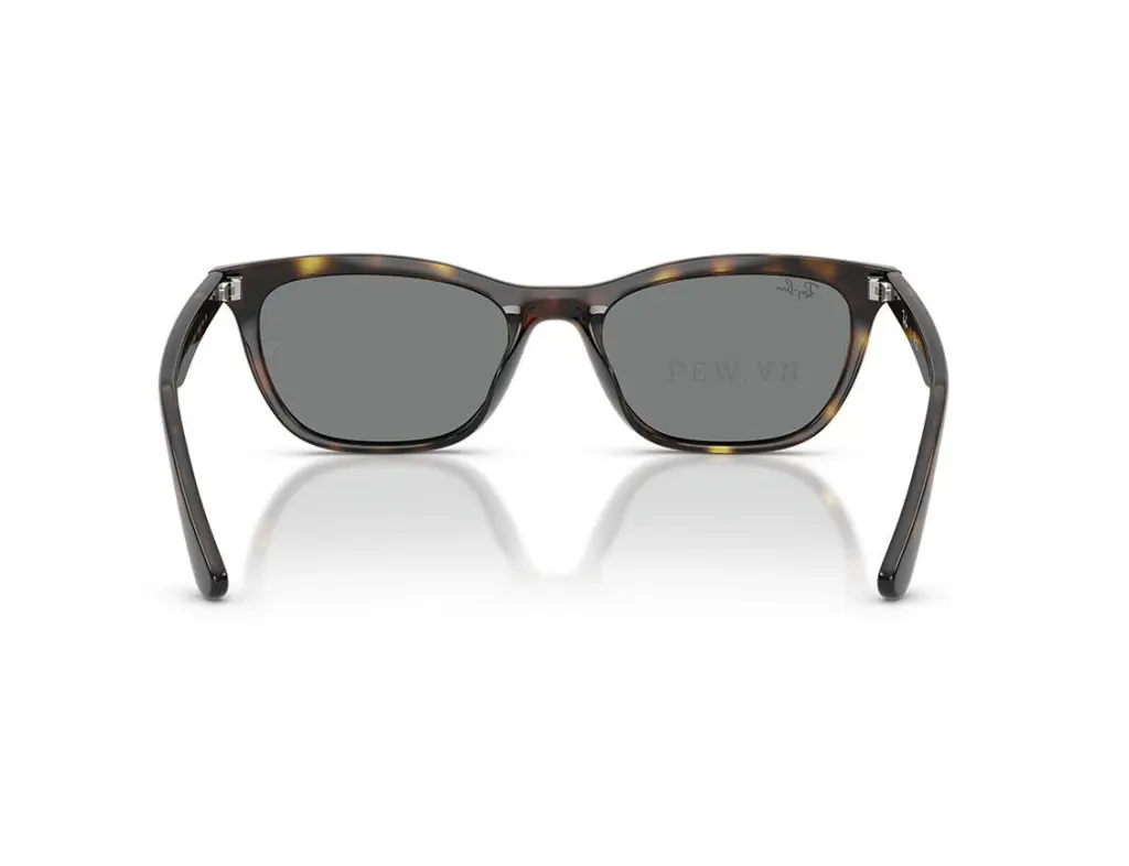 Ray-Ban RB4474D-710/87(54)
